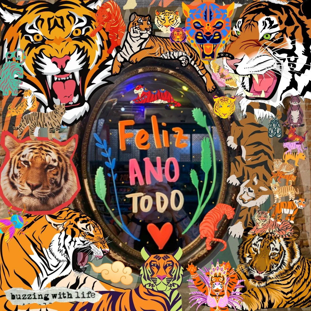Padoca do Maní, montagem de vitrine com tigres