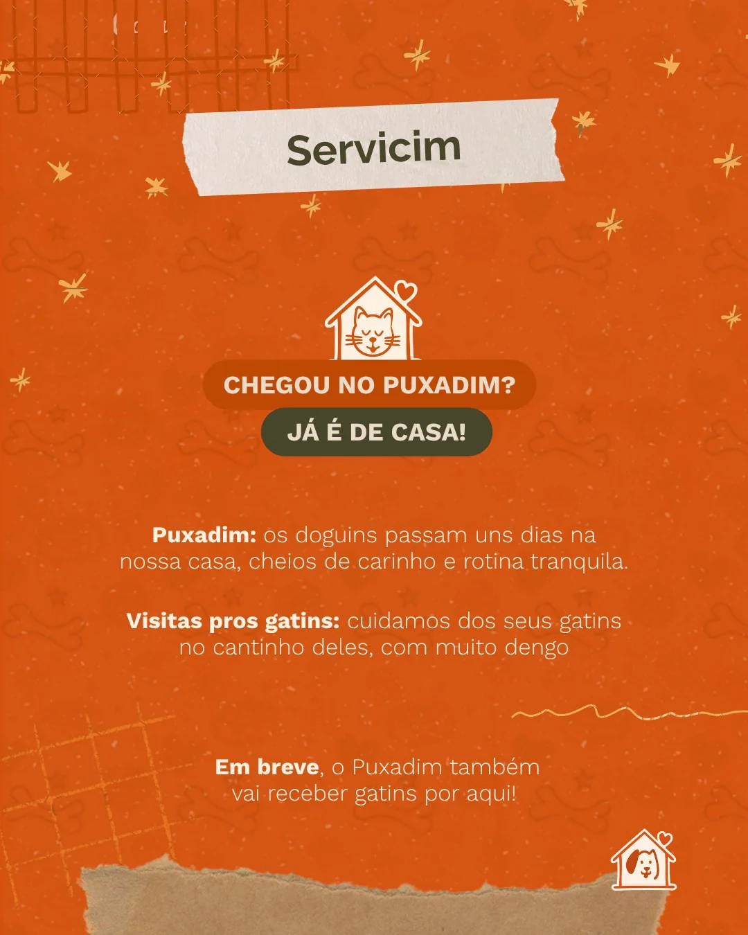 Puxadim Pet, post de conteúdo 3